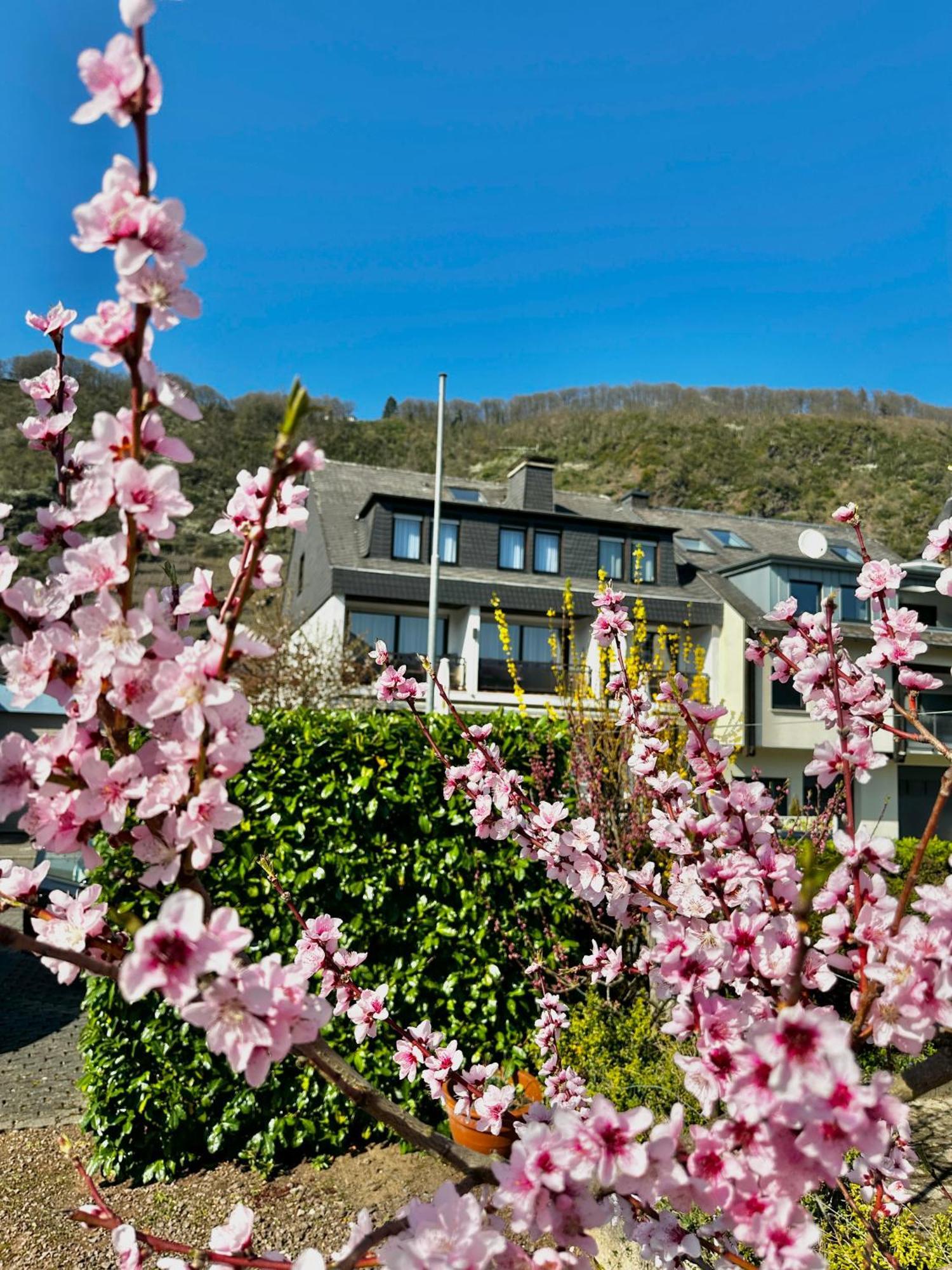 Guest house Haus Benico -pension- Ernst